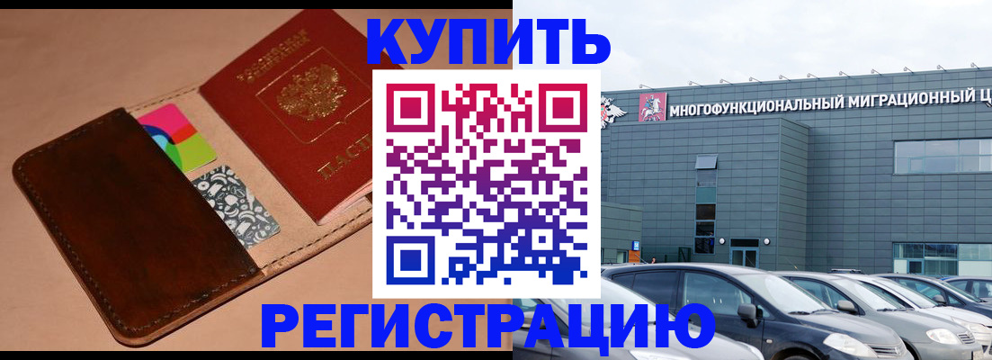 прописка поиск в Щёлково
